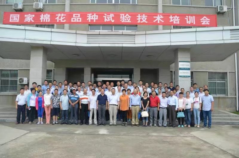 2017年國家棉花品種試驗(yàn)技術(shù)培訓(xùn)會(huì)