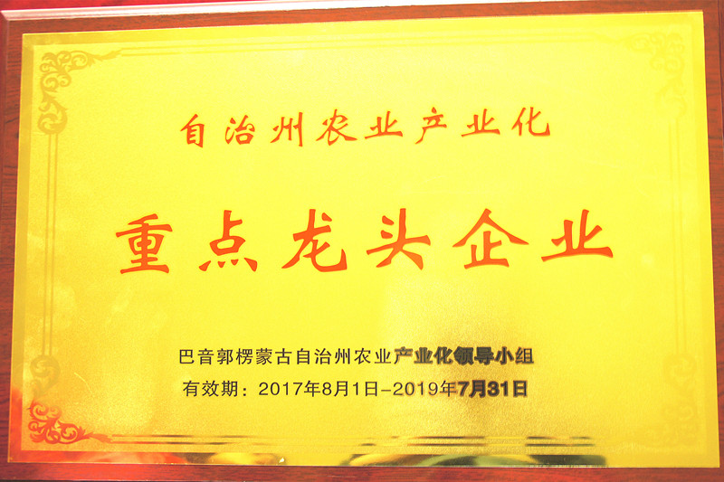 自治區(qū)農業(yè)產業(yè)化重點龍頭企業(yè)